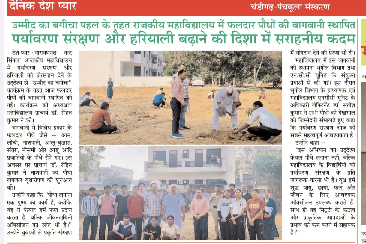 News image